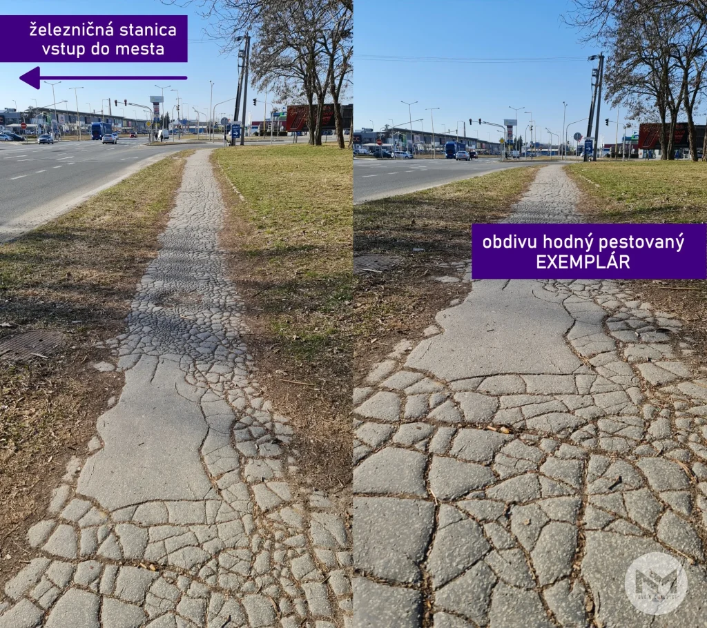 HUMENSKÁ ULICA A JEJ OBDIVUHODNÝ EXEMPLÁR